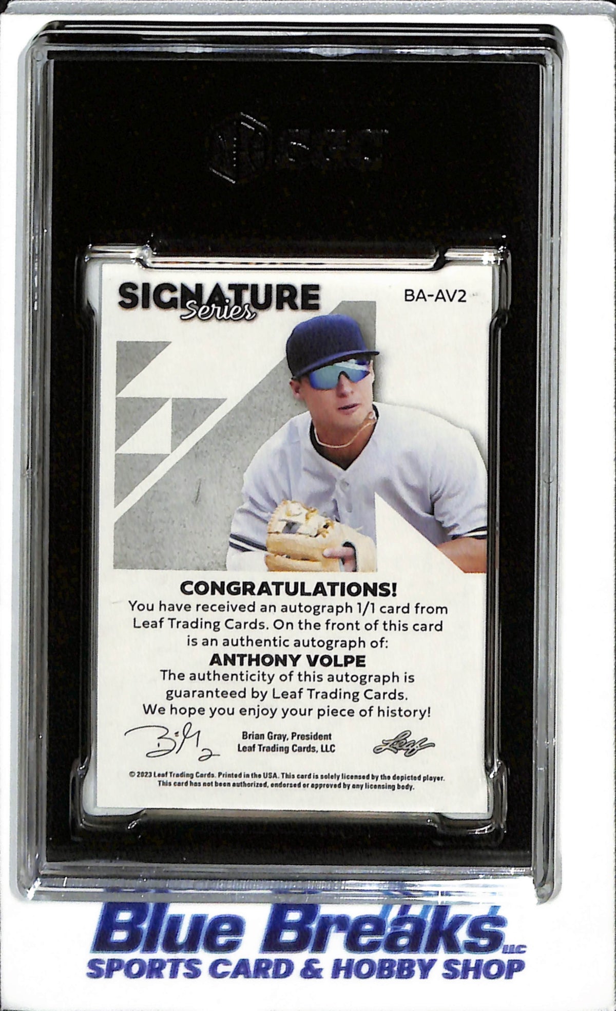 2023 Leaf - Signature Series - Fall - Auto - Anthony Volpe - SGC 9.5 - 1/1 - #BA-AV2 - Baseball - Yankees