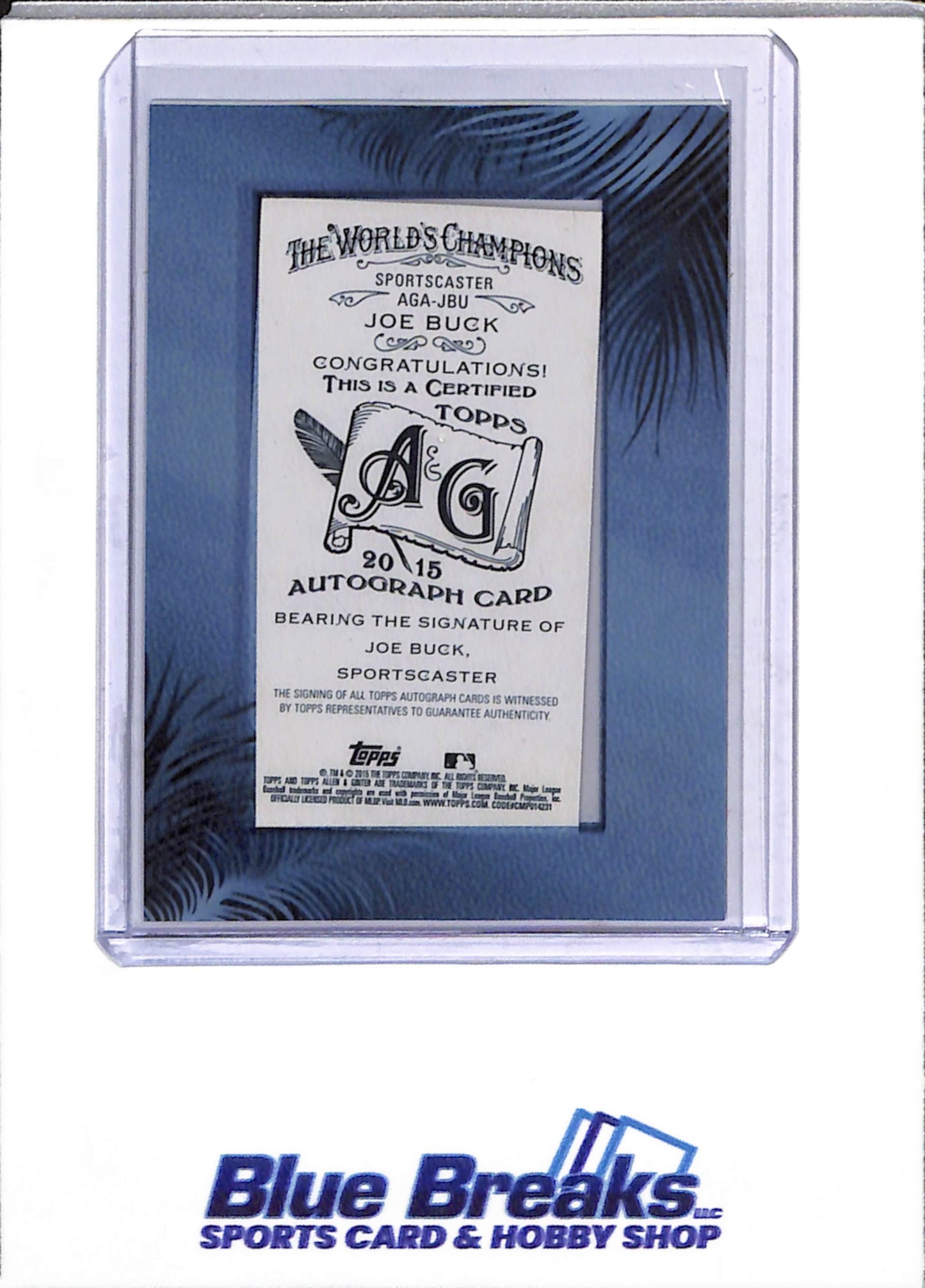 2015 Allen & Ginter - Mini Auto - Joe Buck - #AGA-JBU - Football - Sportscaster