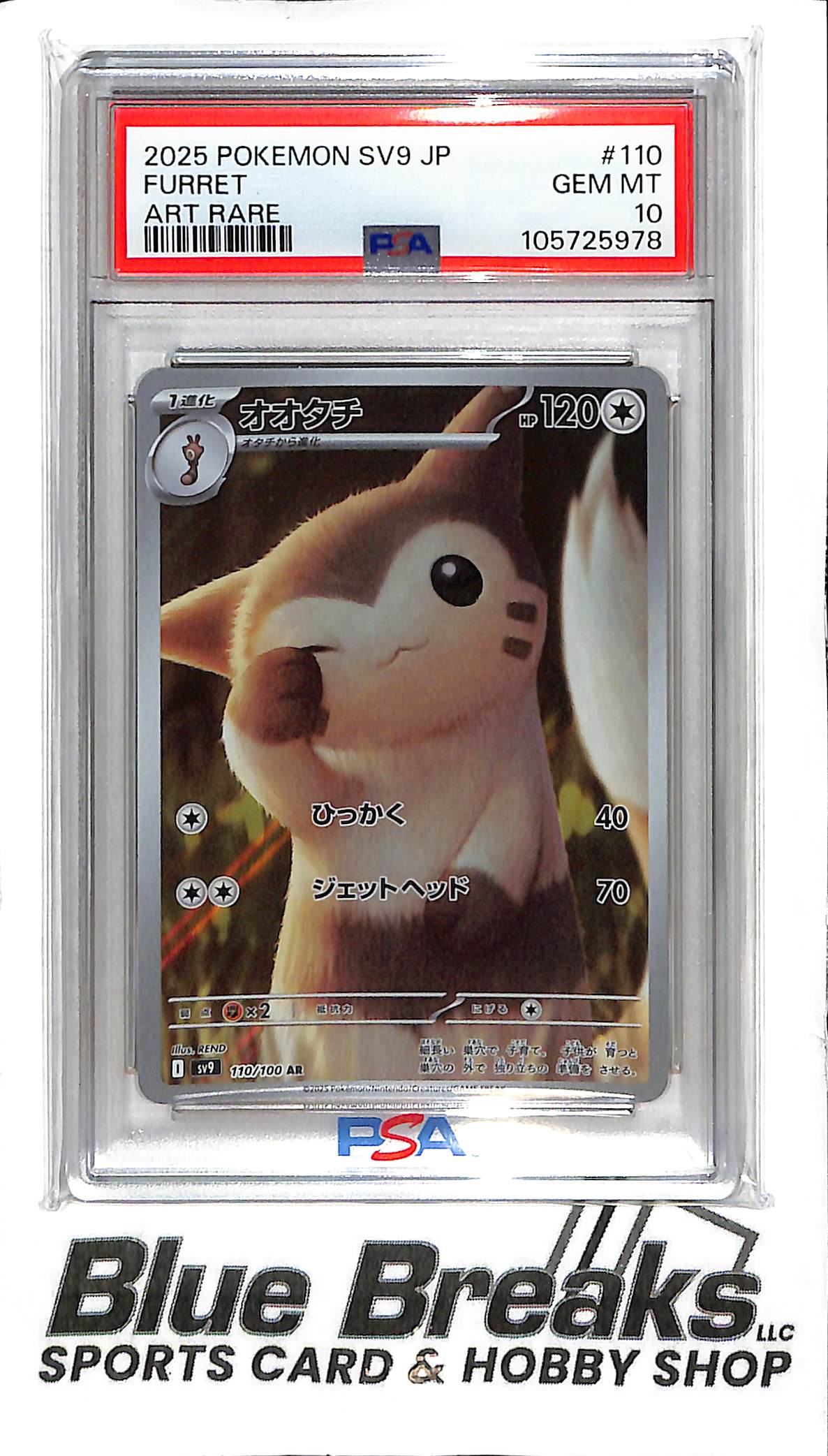 2025 Pokemon SV9 Japanese - Furret - Art rare - 110/100 - PSA 10 Blue Breaks Sports Card & Hobby Shop - Venice 2025 Pokemon SV9 Japanese - Furret - Art rare - 110/100 - PSA 10 Blue Breaks Sports Card & Hobby Shop - Venice