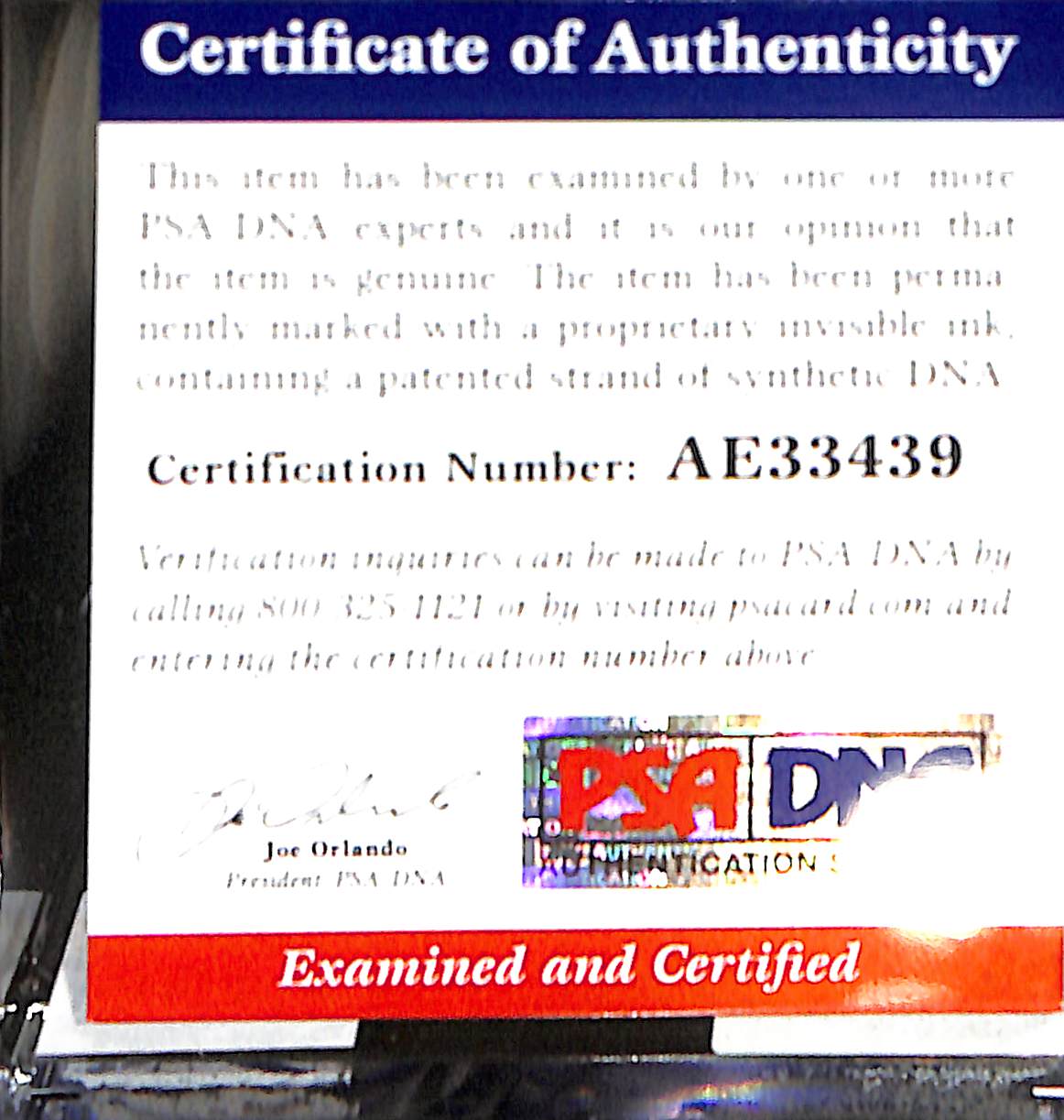 Mike Trout Signed Baseball - PNA DNA Certified - Baseball - Angels