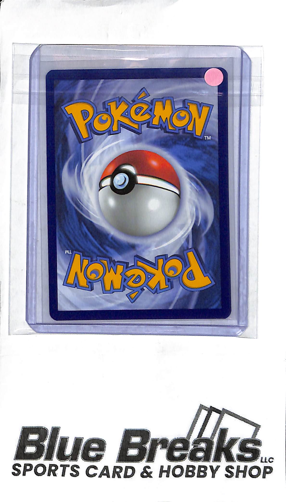 Minccino 182/162 - Full Art - Pokémon