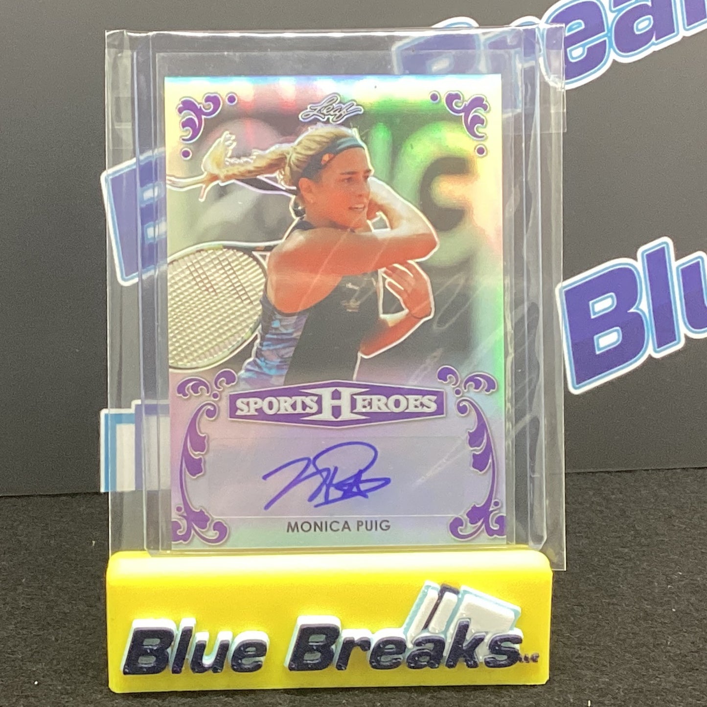 2017 Leaf - Monica Puig Auto 1/5