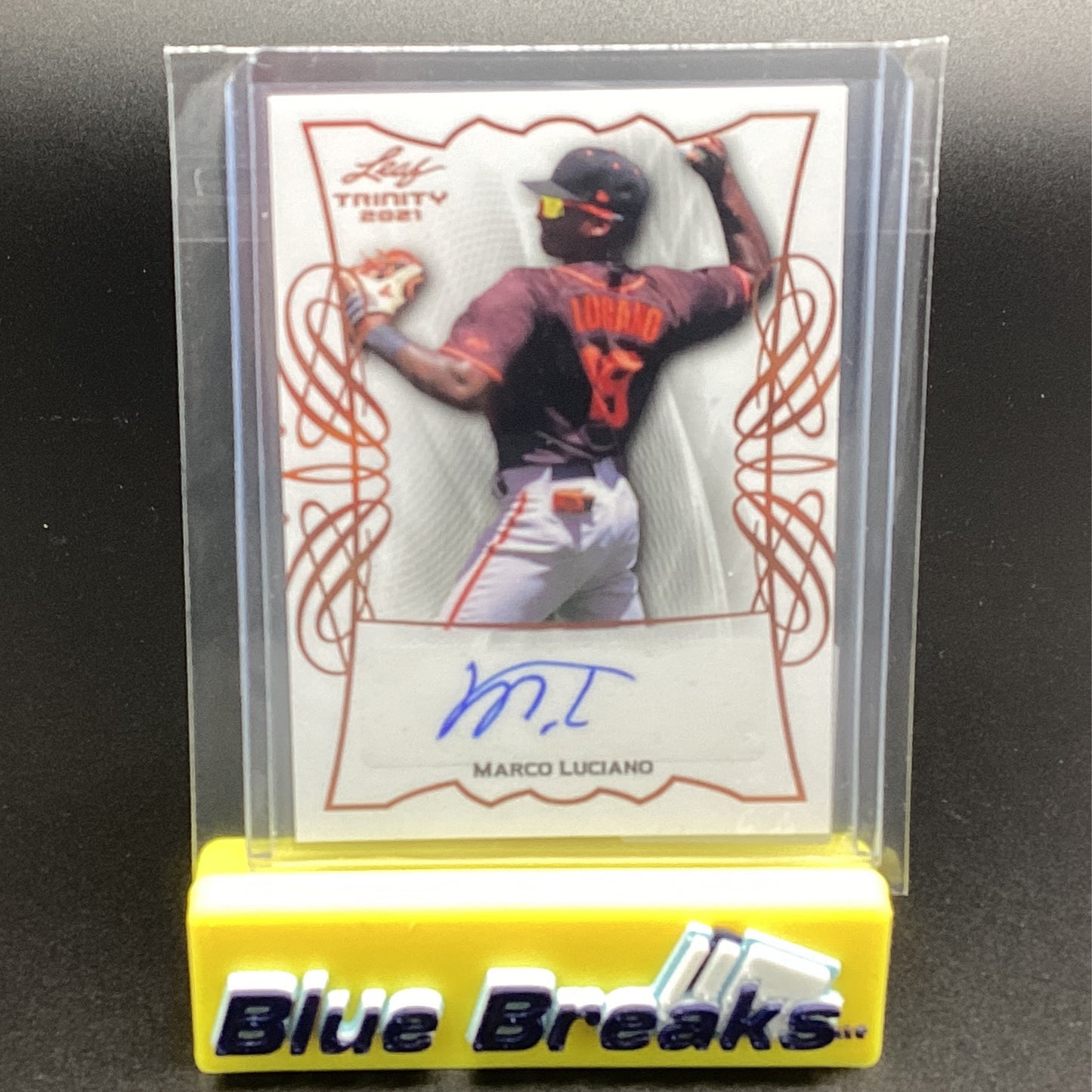 2021 Leaf Trinity - Marco Luciano Auto