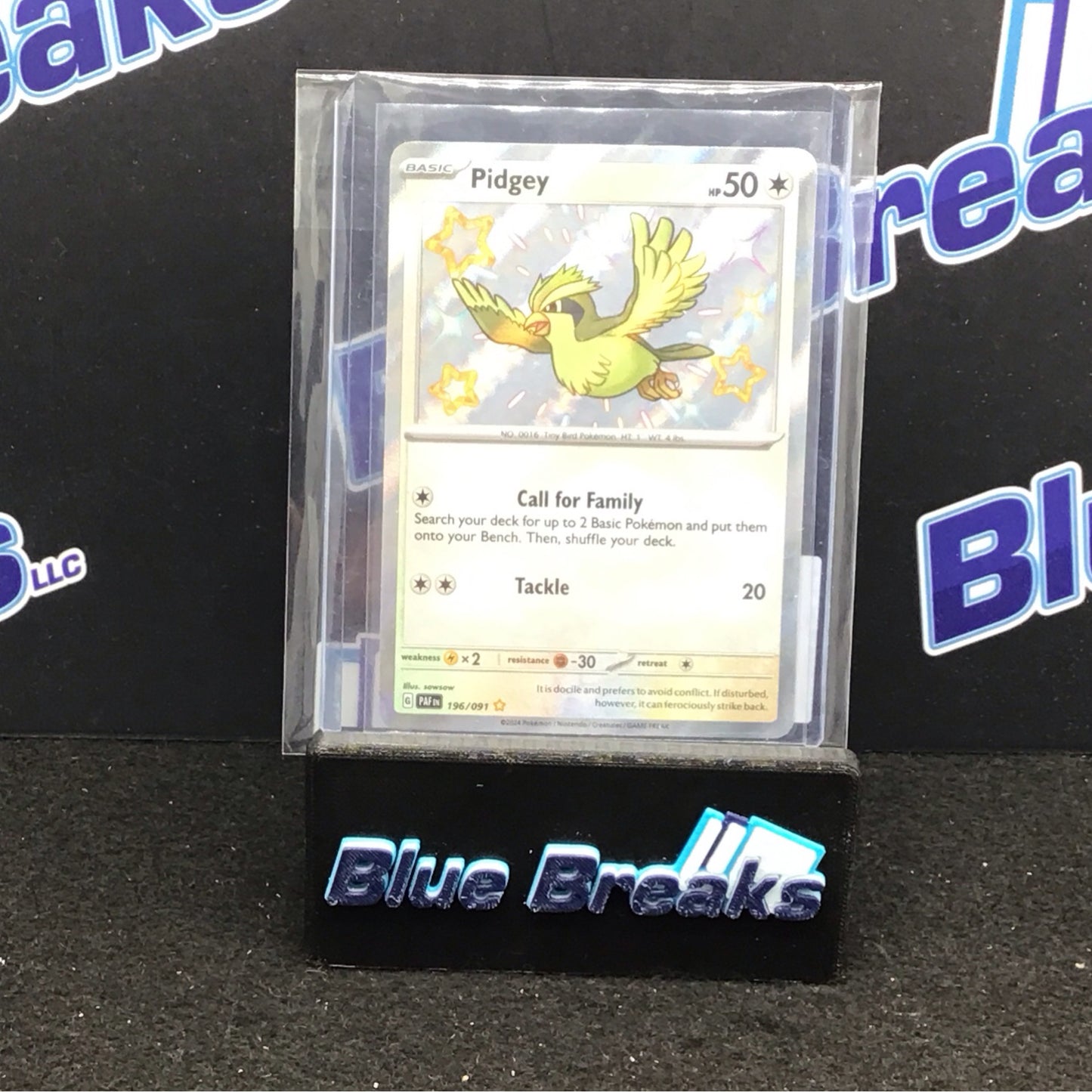 2024 Pokémon Pidgey 196/091