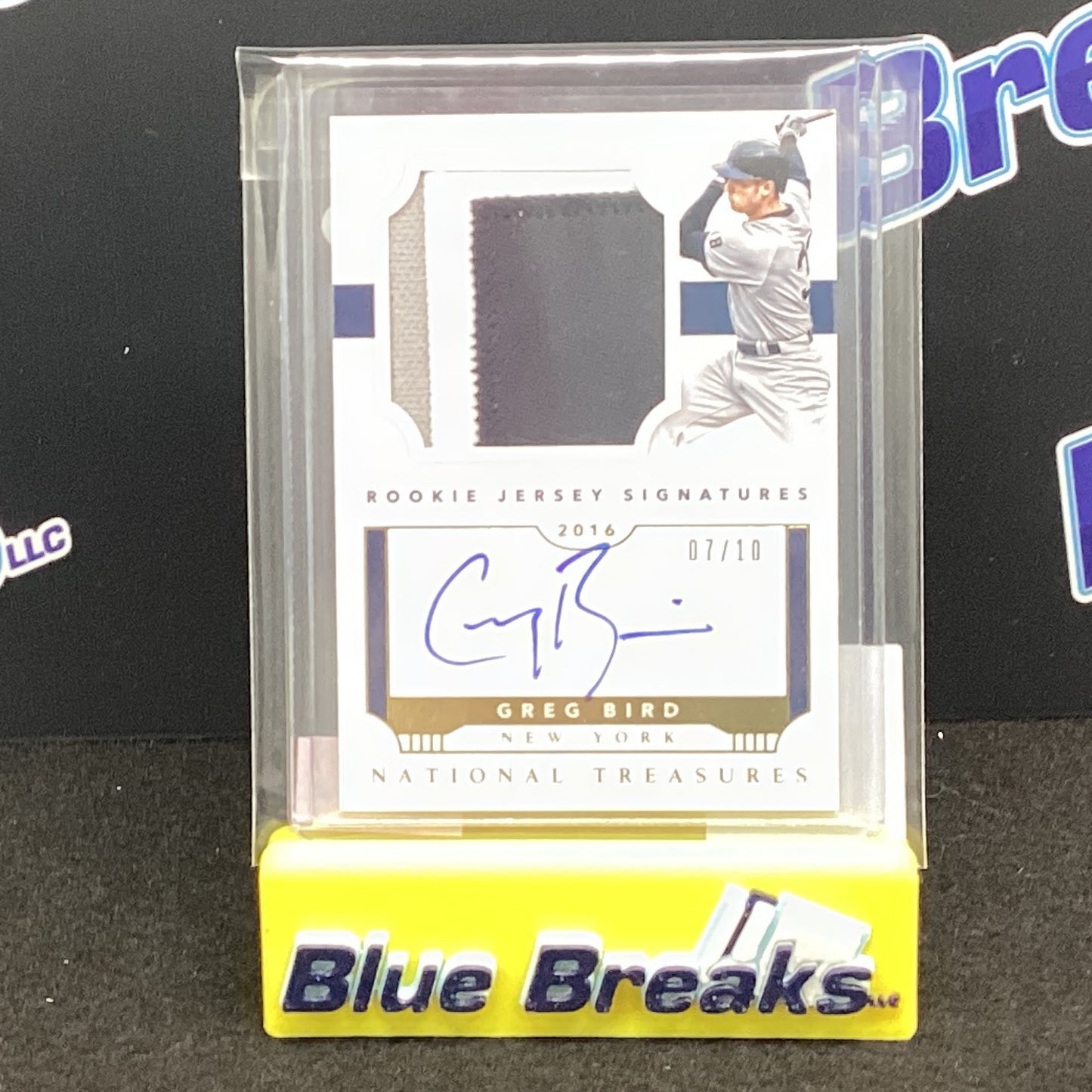 2016 Panini National Treasure Greg Bird relic auto 07/10