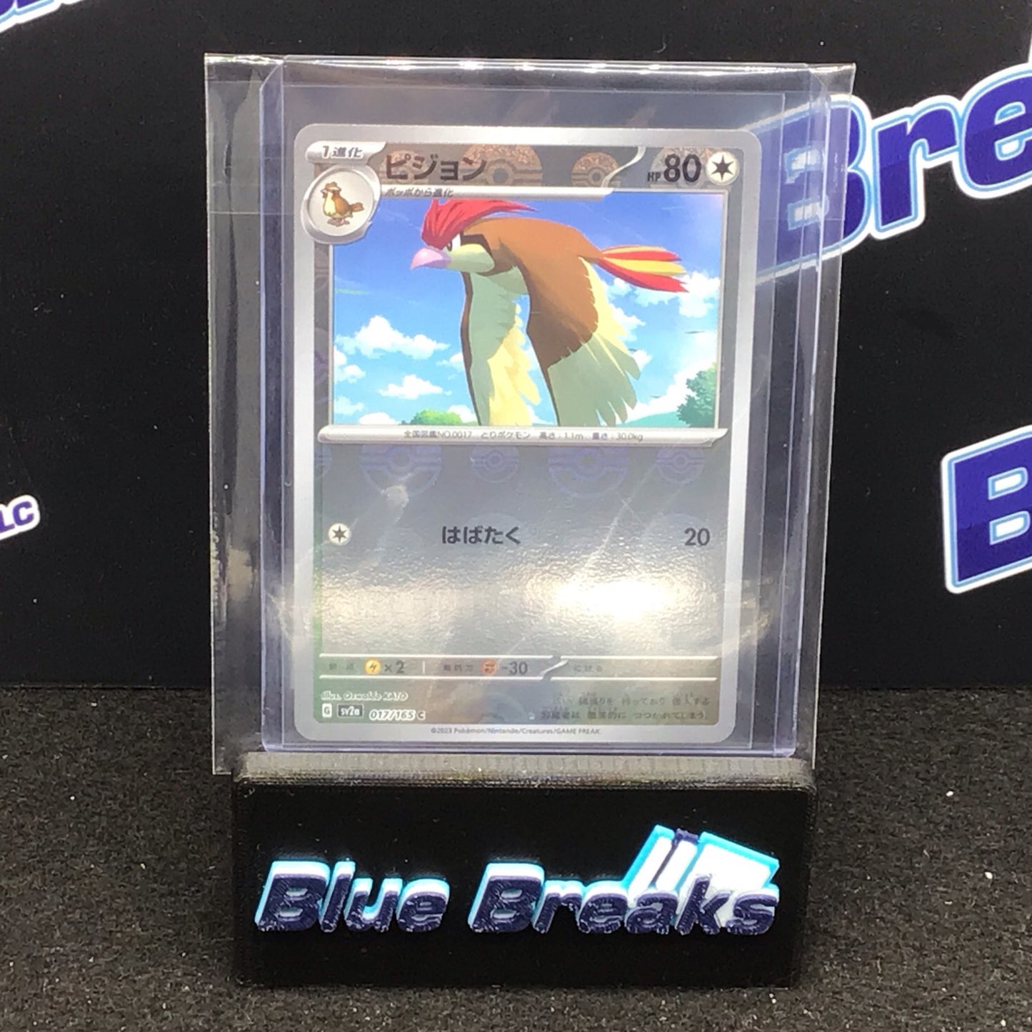 Pokémon Japanese sv2a Reverse Holo Pidgeotto 017/165