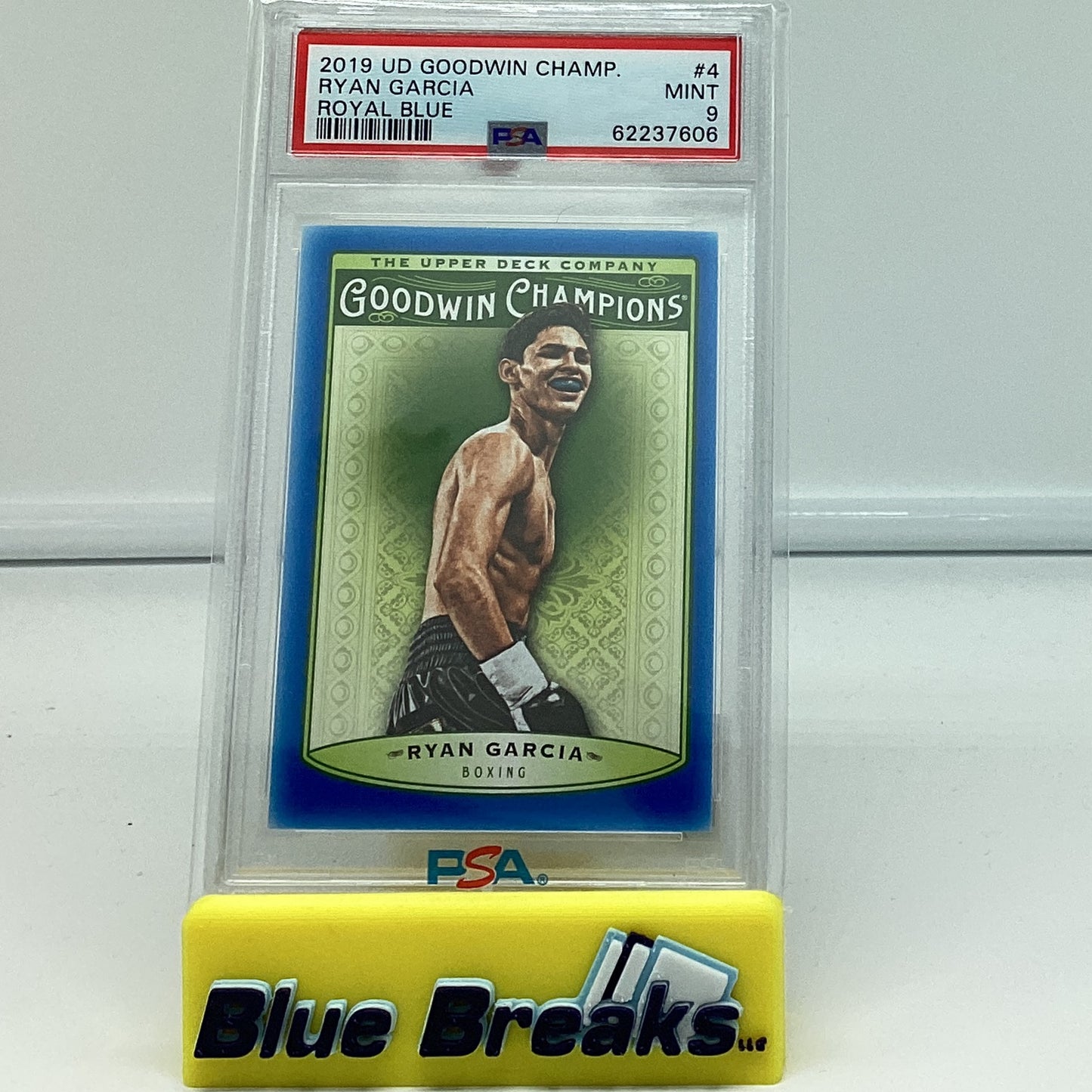 2019 Goodwin - Ryan Garcia Mt 9