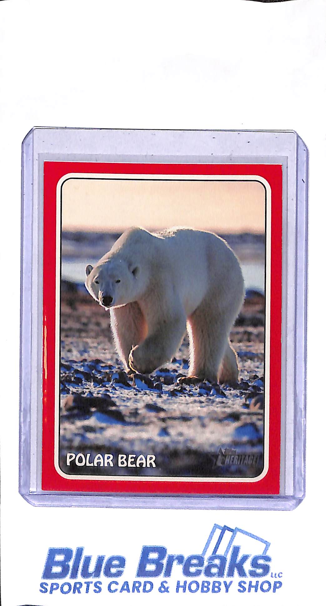 2024 Topps - Polar Bear - Pete Alonso - #75Z-9 - baseball - Mets
