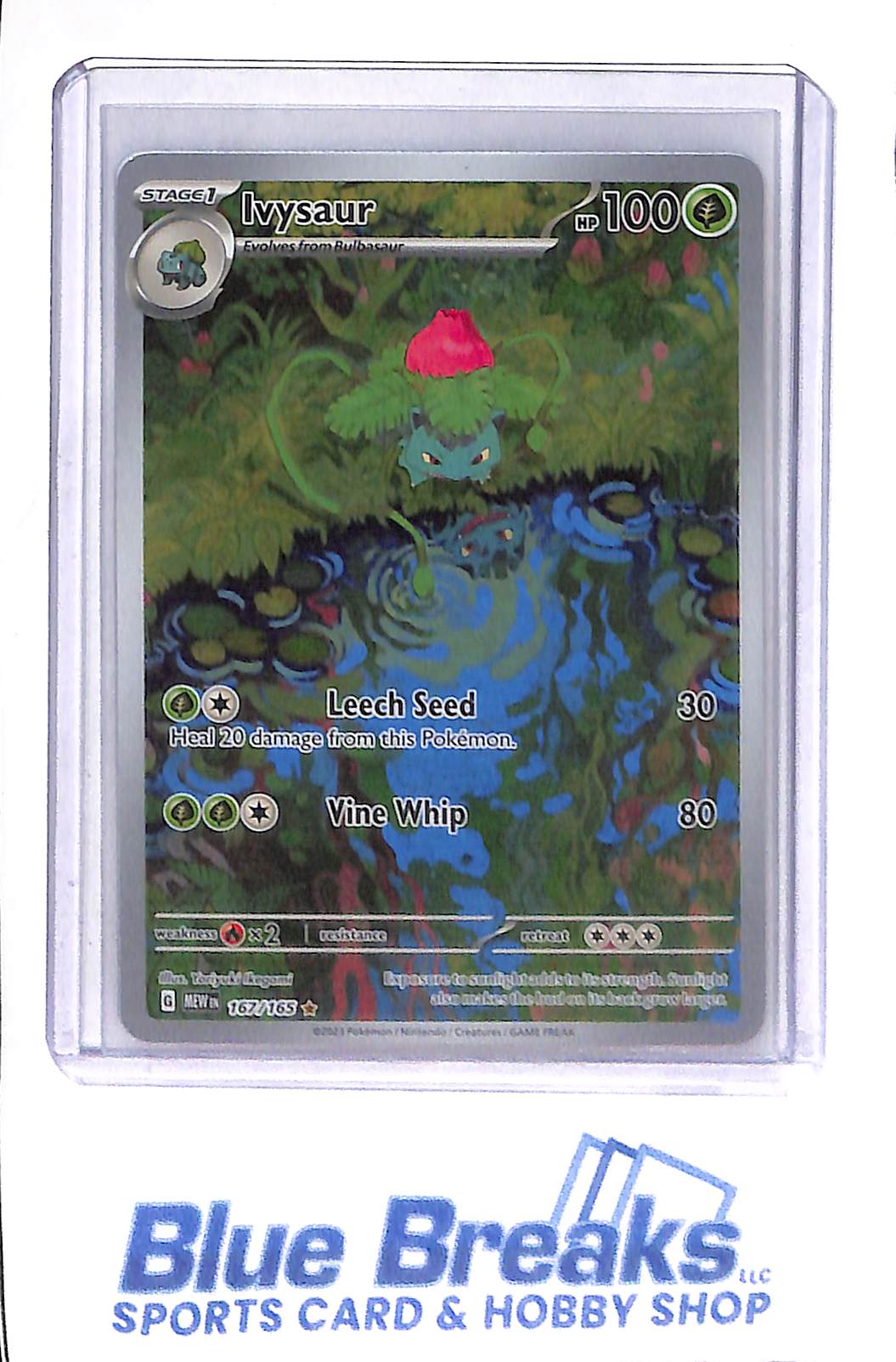 2023 Pokemon - Ivysaur - Rare Illustration - 167/165