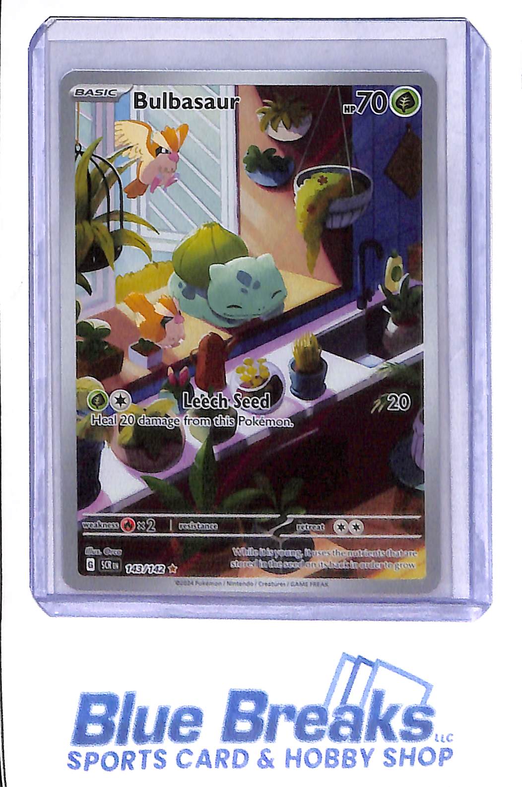 2024 Pokemon - Bulbasaur - Rare Illustration - 143/142