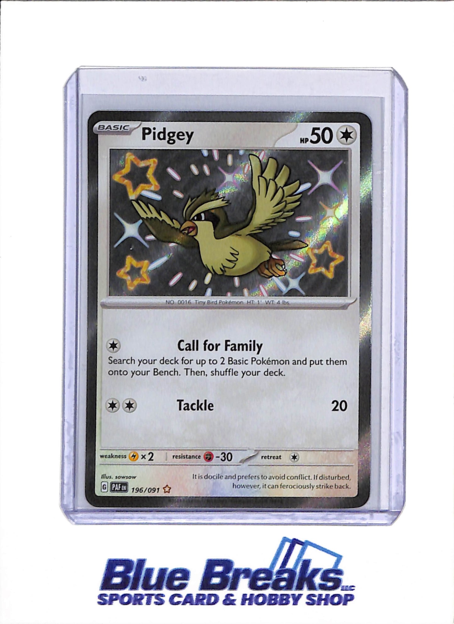 2024 Pokémon Pidgey 196/091