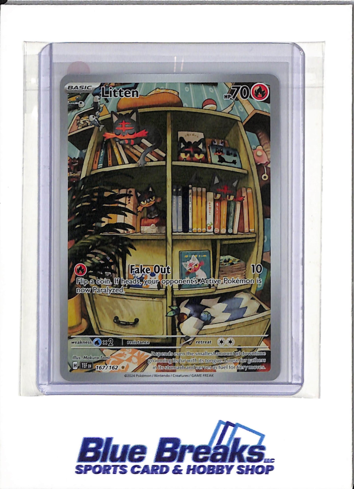 2024 Pokemon - Temporal Forces - Illustration Rare - Litten - #167/162