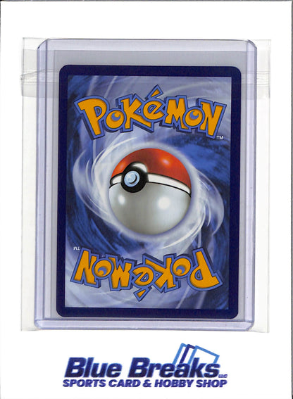 2025 Pokémon - Scarlet & Violet - Journey Together - Black Star Promo - N's Zorua - #189