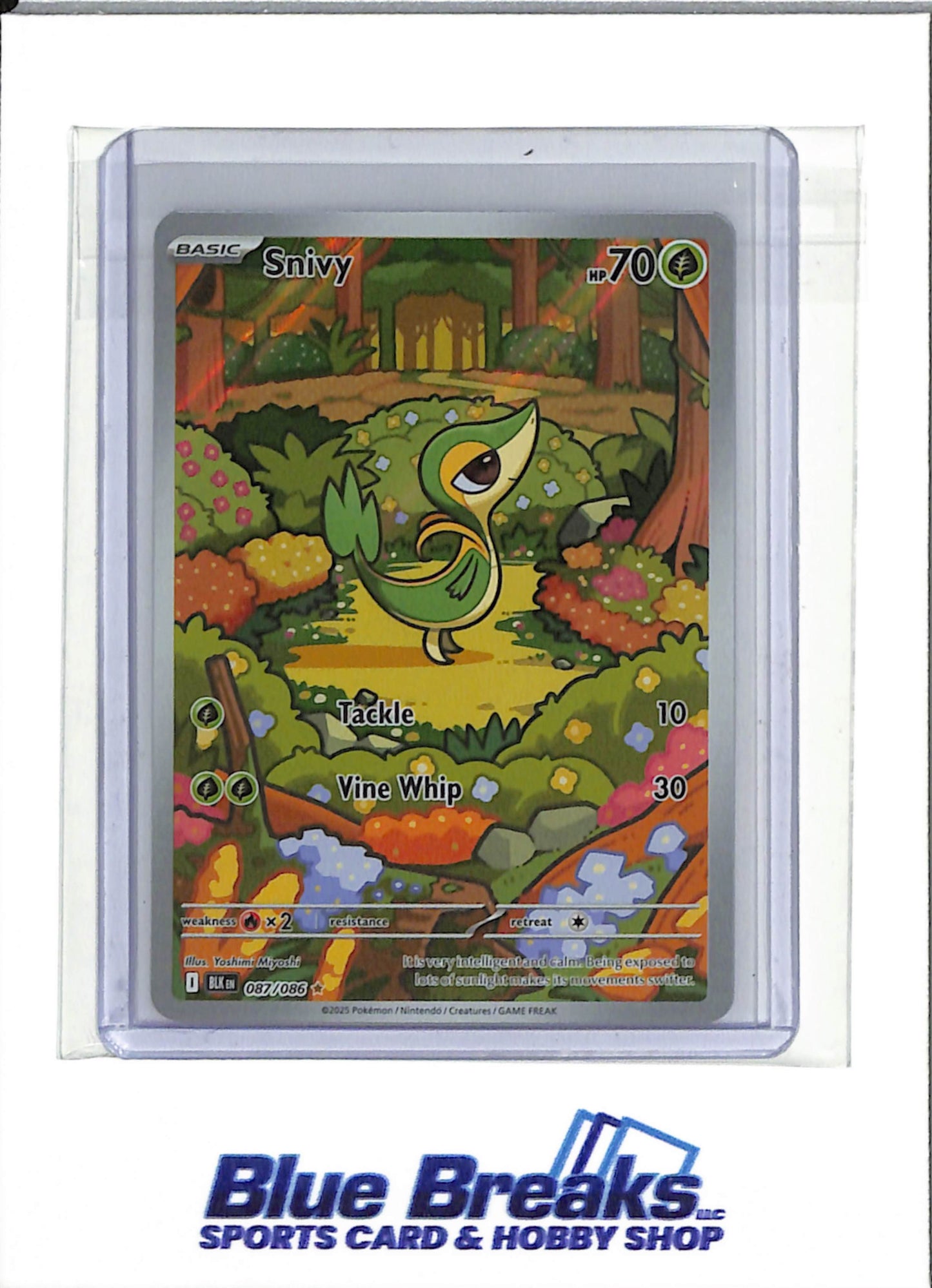 2025 Pokémon - Black Bolt - Illustration Rare Holo - Snivy - #087/086