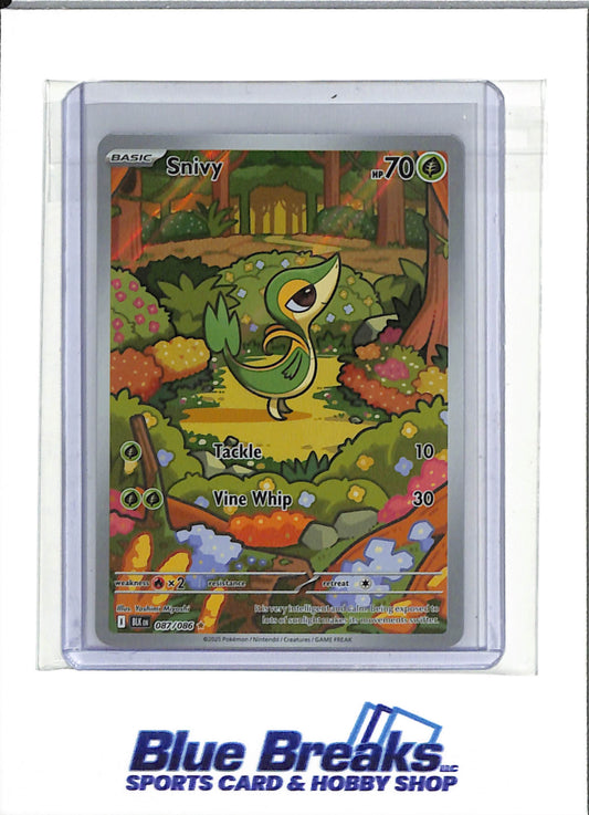2025 Pokémon - Black Bolt - Illustration Rare Holo - Snivy - #087/086