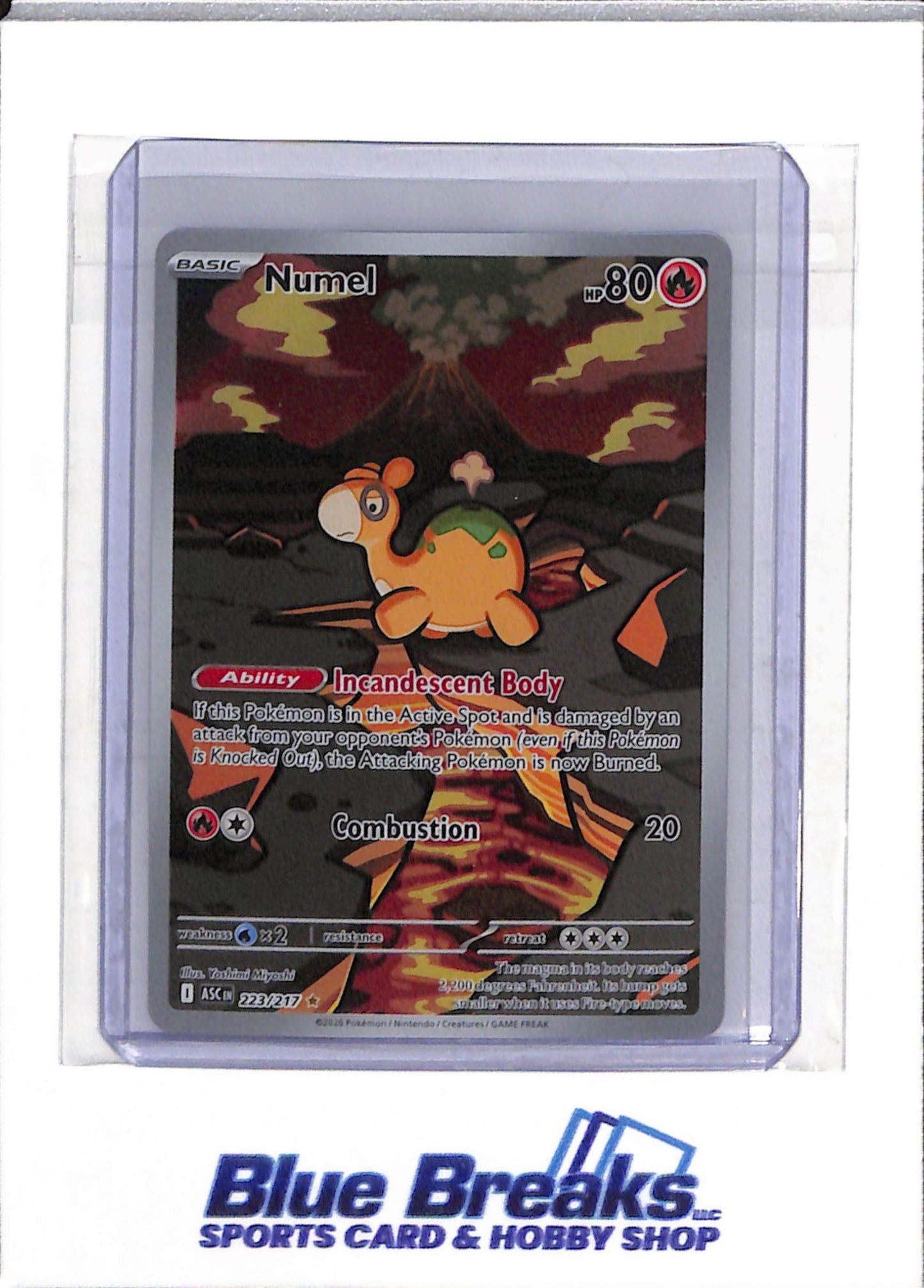 2026 Pokemon - Ascended Heroes - Holo - Numel - #223/217 - drop