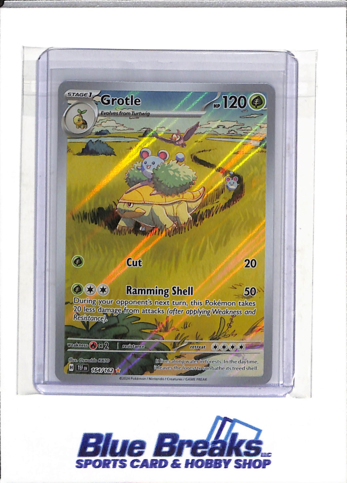 2024 Pokemon - Temporal Forces - Illustration Rare Holo - Grotle - #164/162 - drop