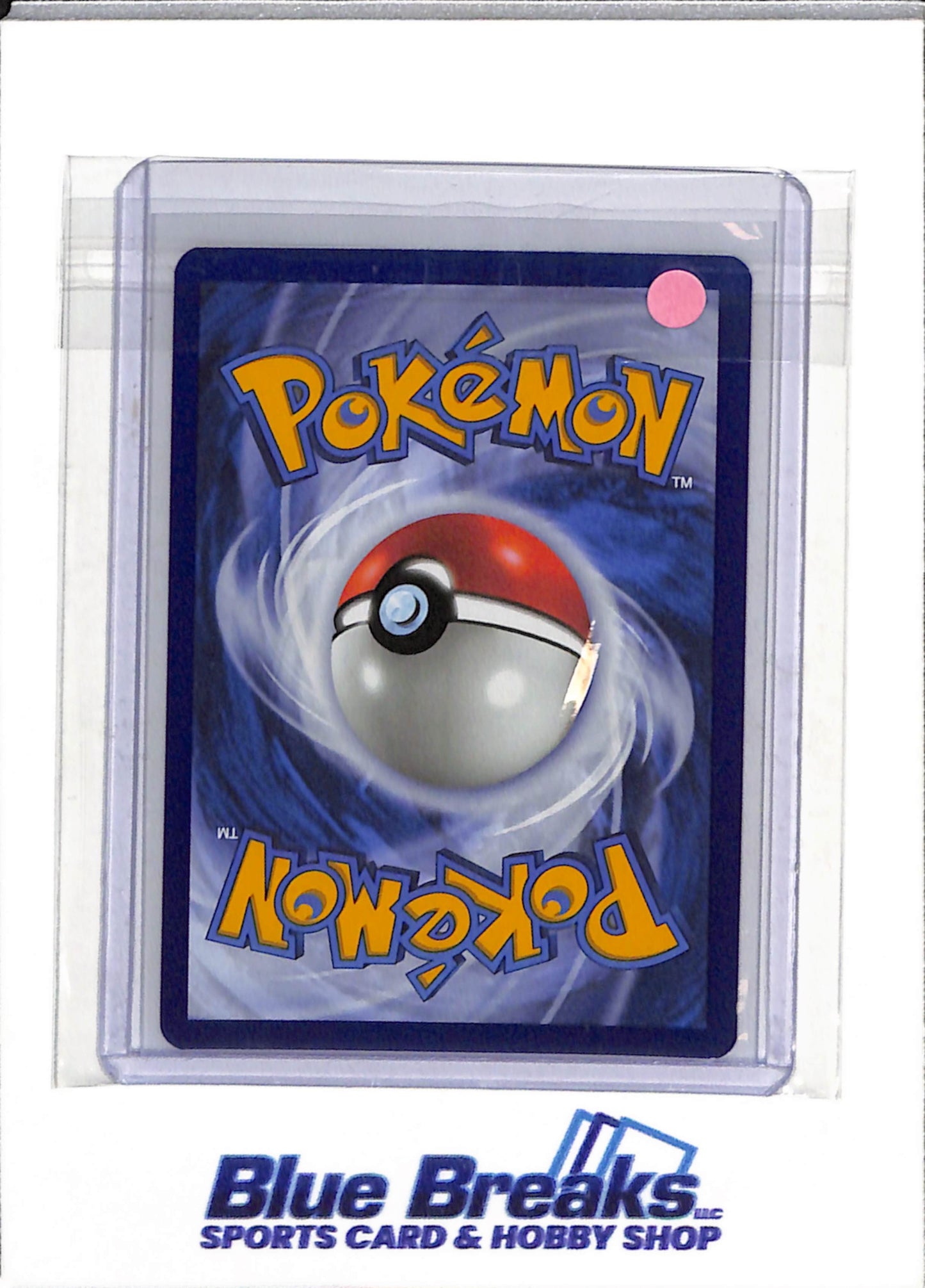 2024 Pokemon - Temporal Forces - Illustration Rare Holo - Grotle - #164/162 - drop