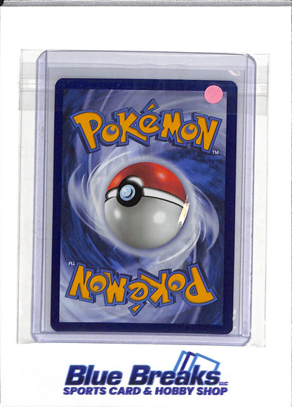 2024 Pokemon - Temporal Forces - Illustration Rare Holo - Grotle - #164/162 - drop
