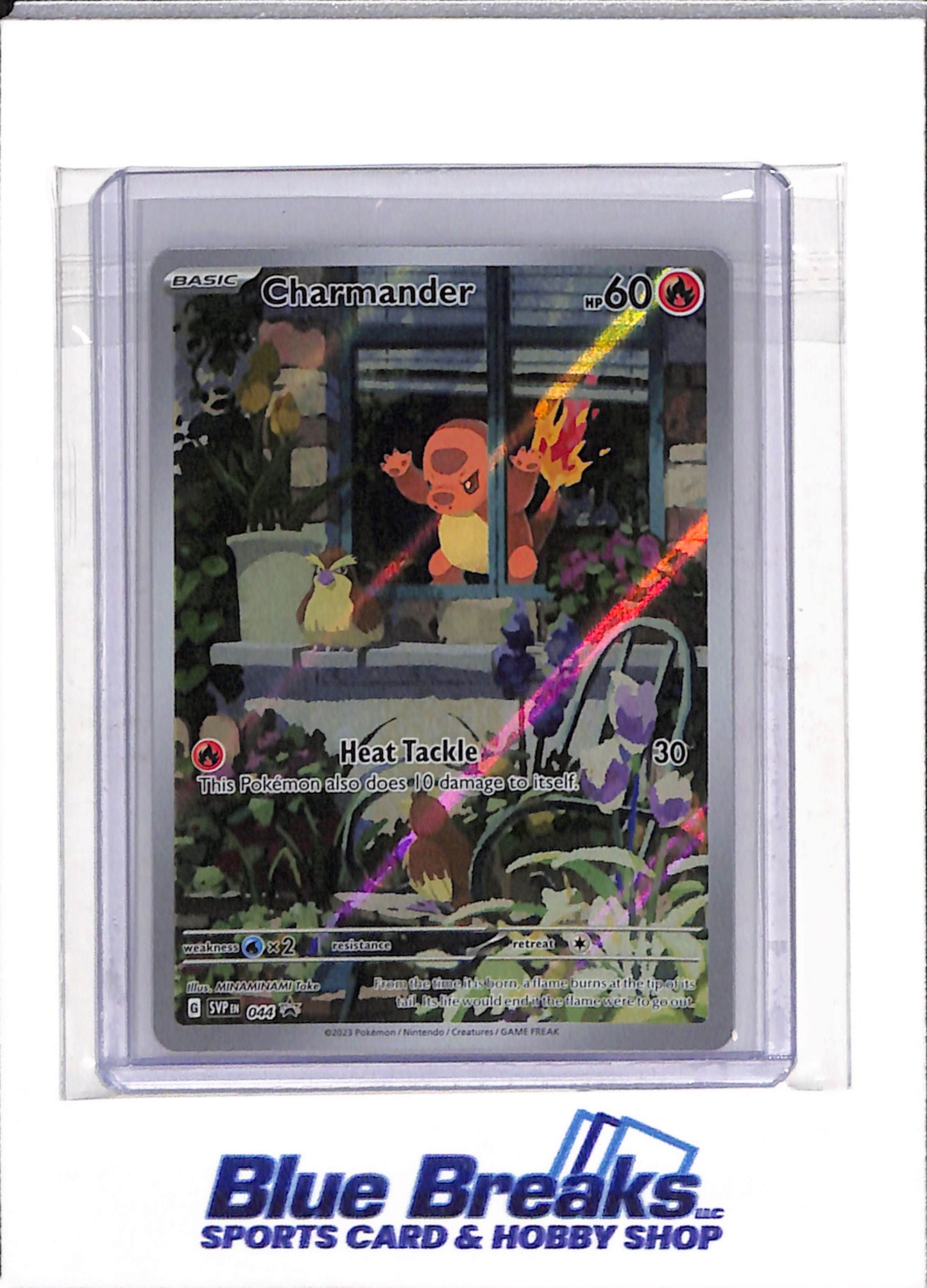 2023 Pokemon - Black Star Promo - Scarlet & Violet - Illustration Rare Holo - Charmander - #044 - drop