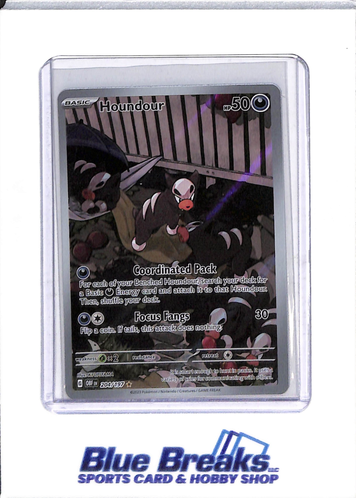 2023 Pokémon - Obsidian Flames - Illustration Holo - Houndour - #204/197 - drop