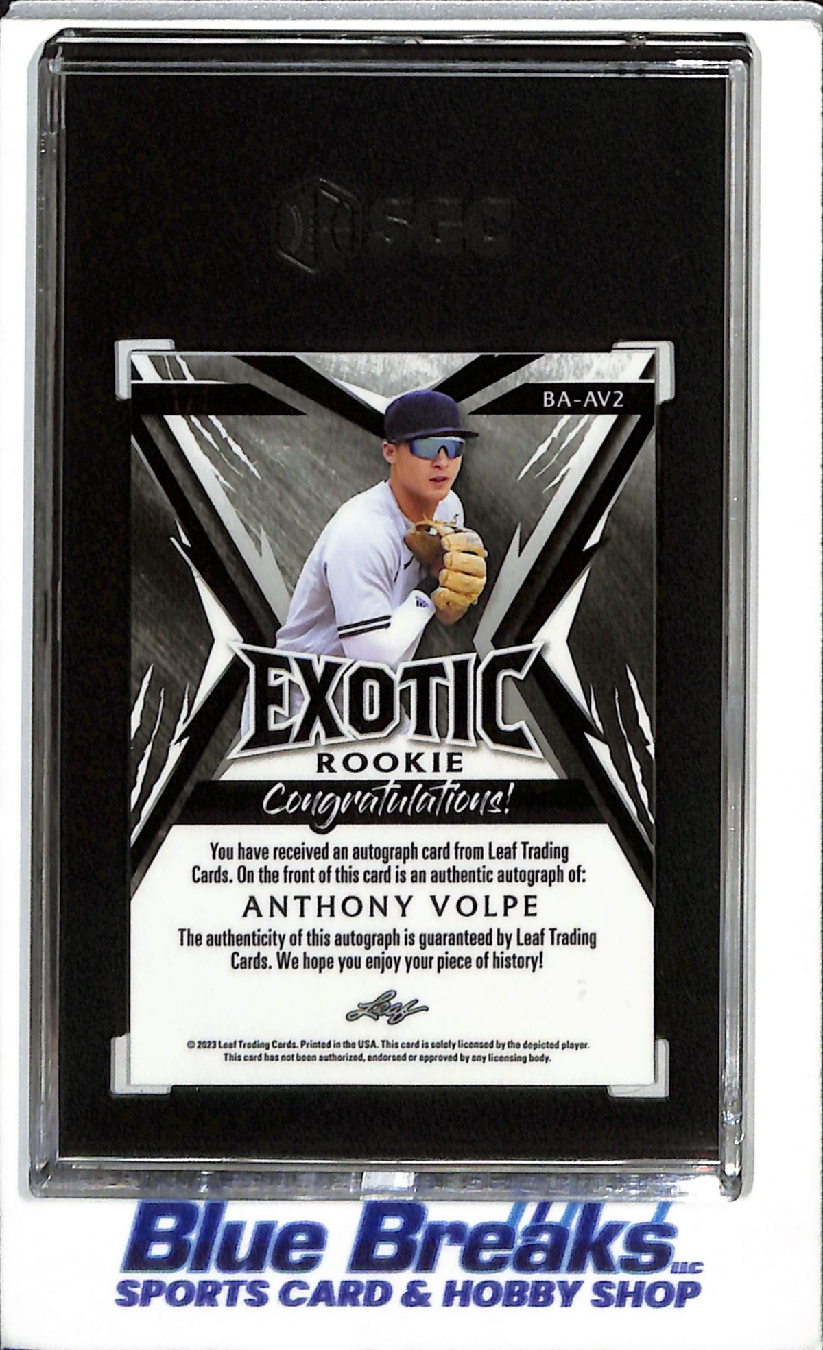 2023 Leaf - Exotic - Giraffe Kaleidoscope - Rookie Card - Auto - Anthony Volpe - SGC10 - 1/1 - #BA-AV2 - Baseball - Yankees