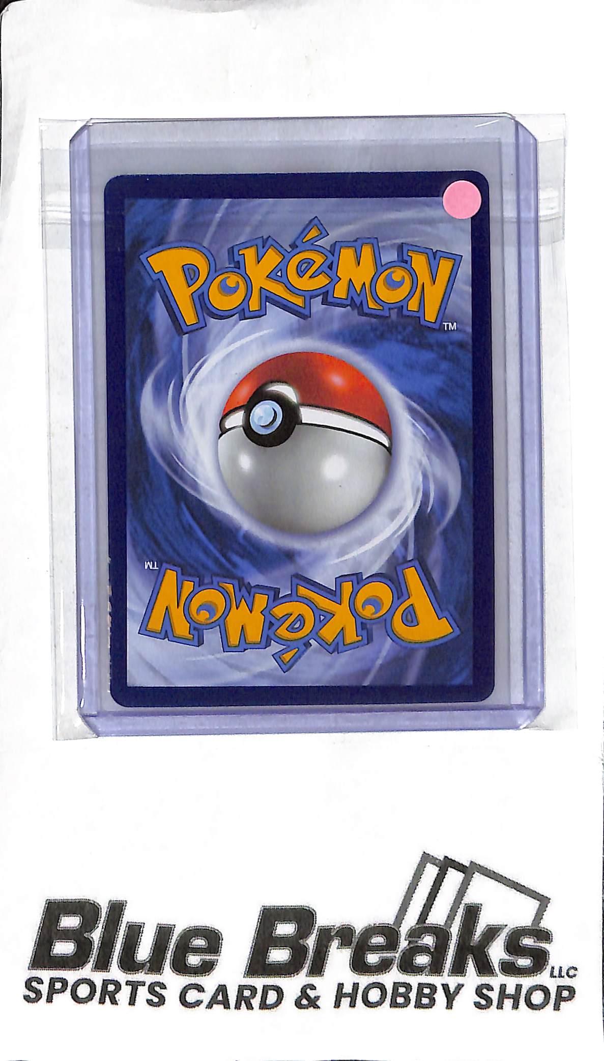 Lycanroc VMAX 213/203 - Rainbow - Pokémon