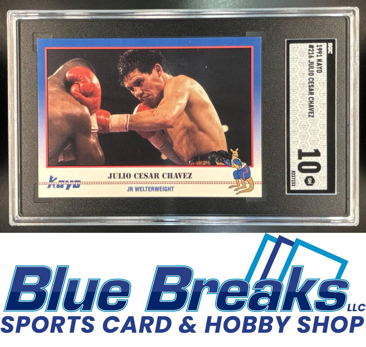 1991 Kayo Julio Cesar Chavez [RC] #216 PSA 9