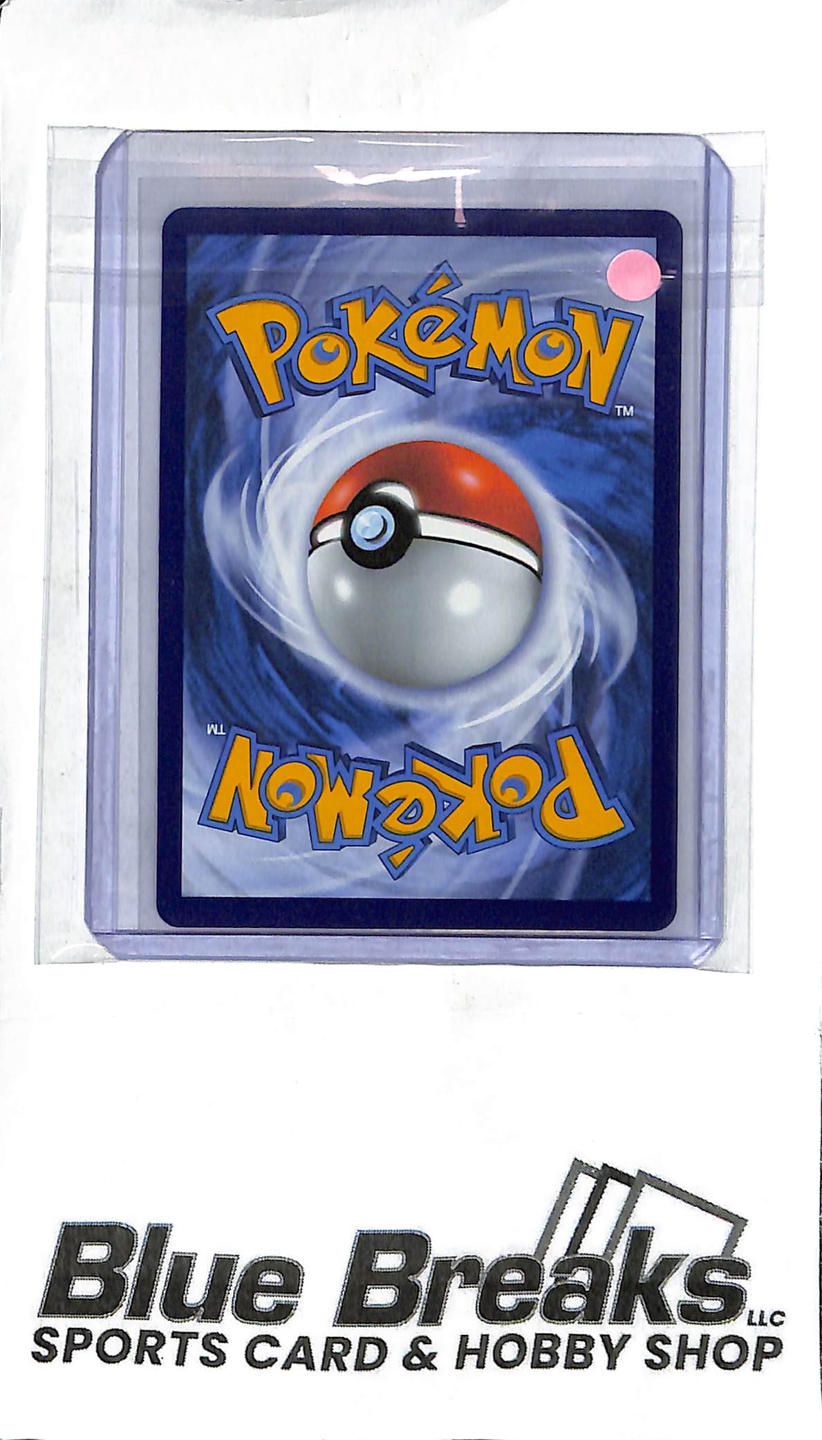 Gardenia's Vigor GG61/GG70 - Trainer - Full Art - Pokémon