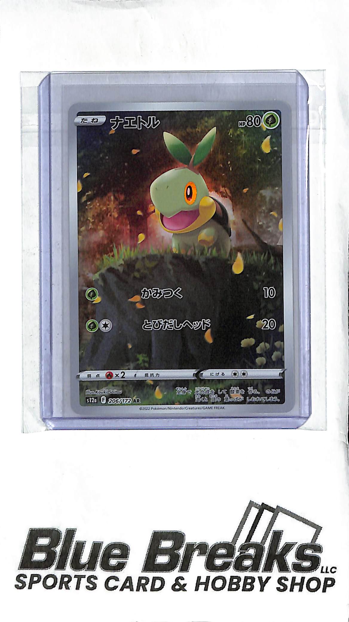 Turtwig - 206/172 - S12a: VSTAR Universe (S12a) - Japanese Pokémon