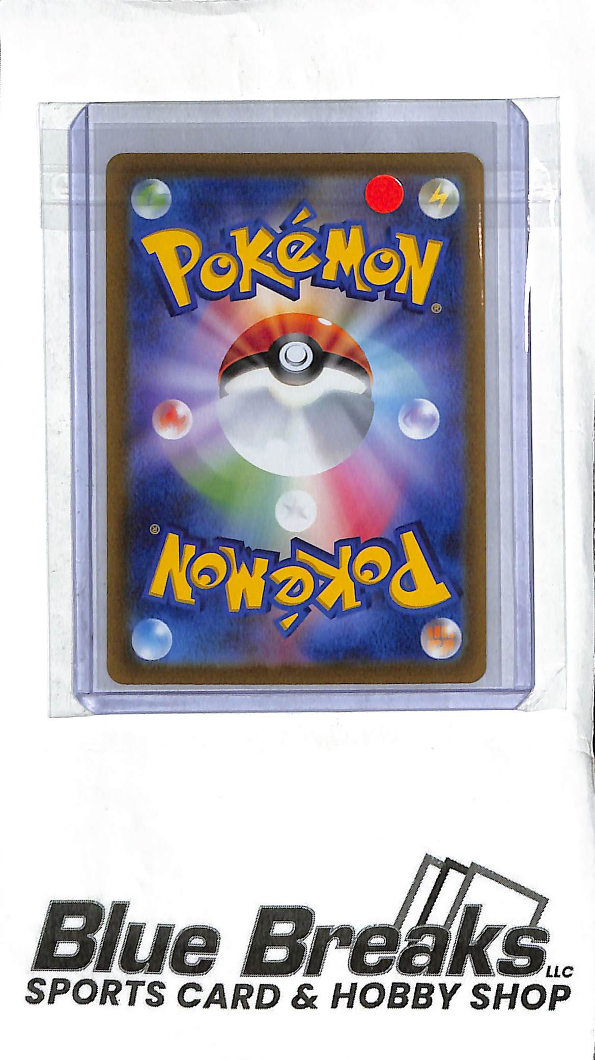 Turtwig - 206/172 - S12a: VSTAR Universe (S12a) - Japanese Pokémon