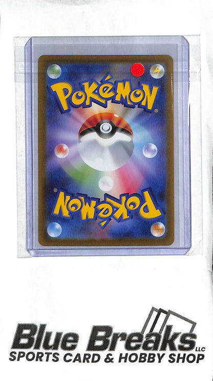 Turtwig - 206/172 - S12a: VSTAR Universe (S12a) - Japanese Pokémon