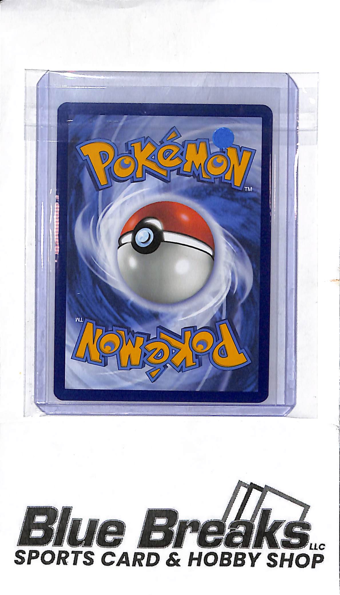 2024 Pokémon - Squirtle - #148/142