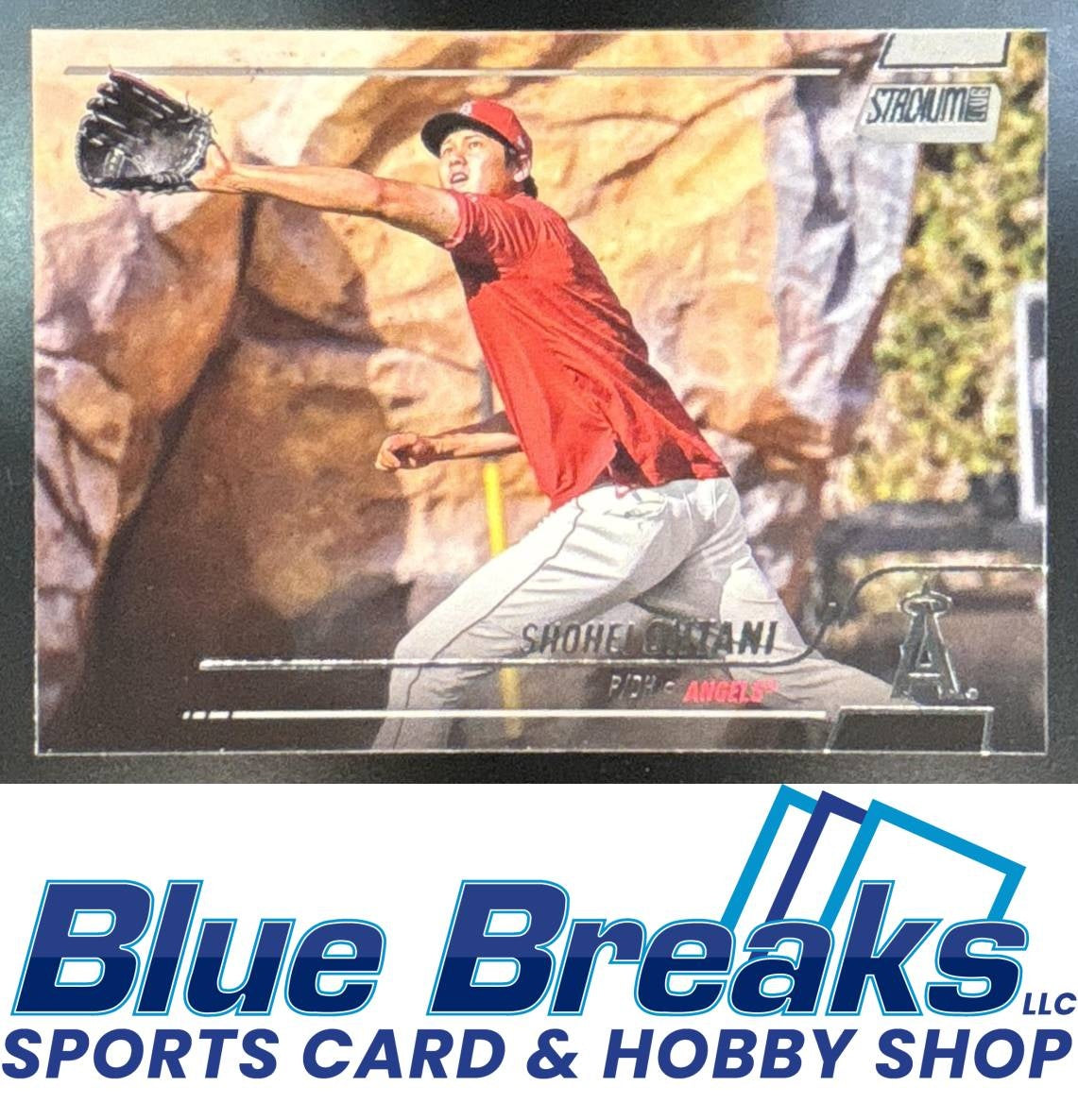 Shohei Ohtani front image
