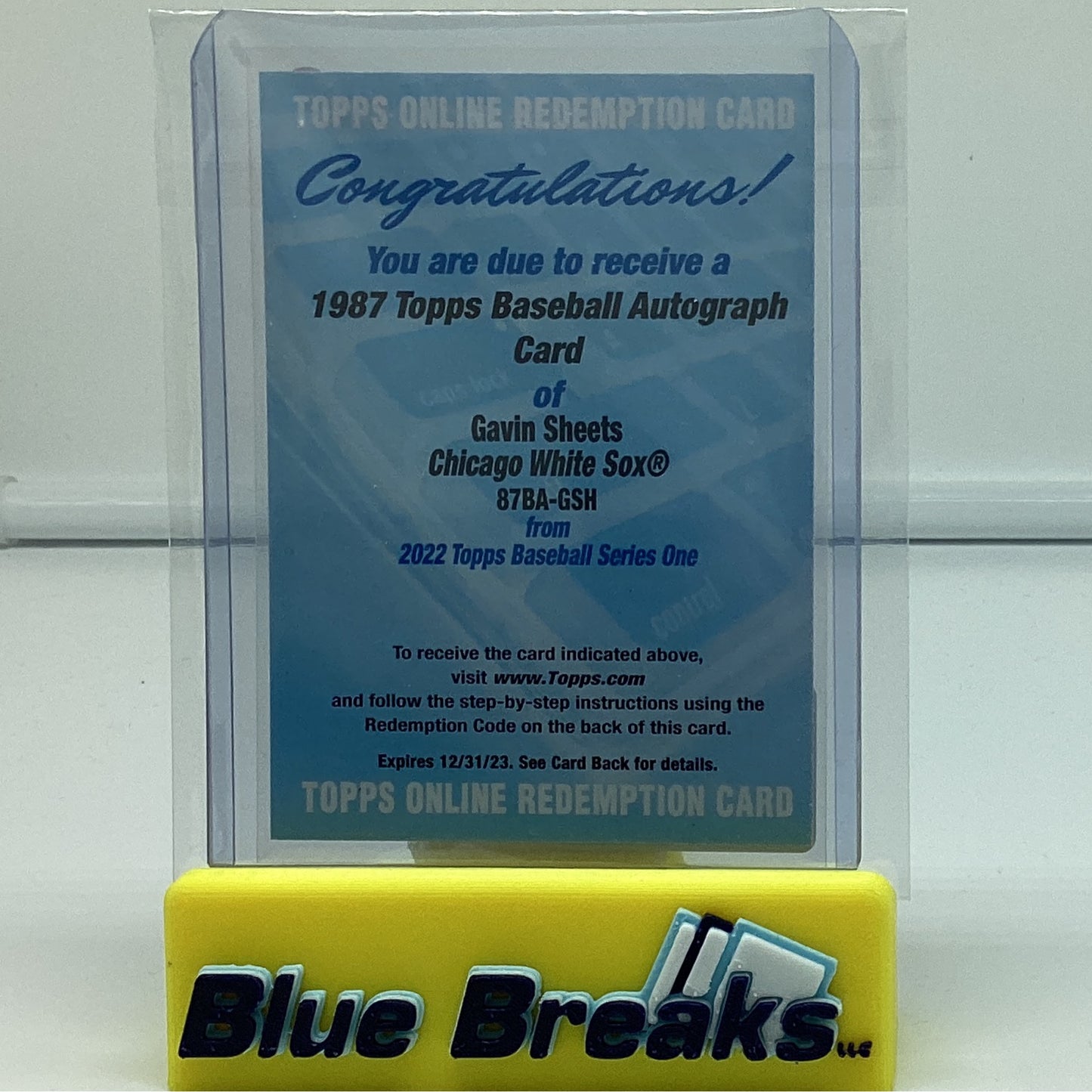 2022 Topps Series 1 - Gavin Sheets Redemption