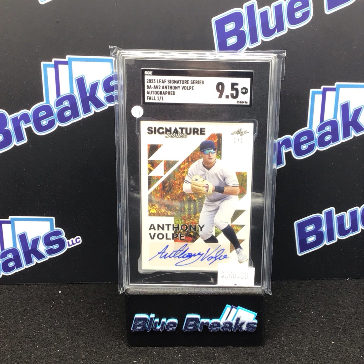 2023 Leaf Signature Series Fall Anthony Volpe auto 1/1 #BA-AV2 SGC 9.5 Yankees