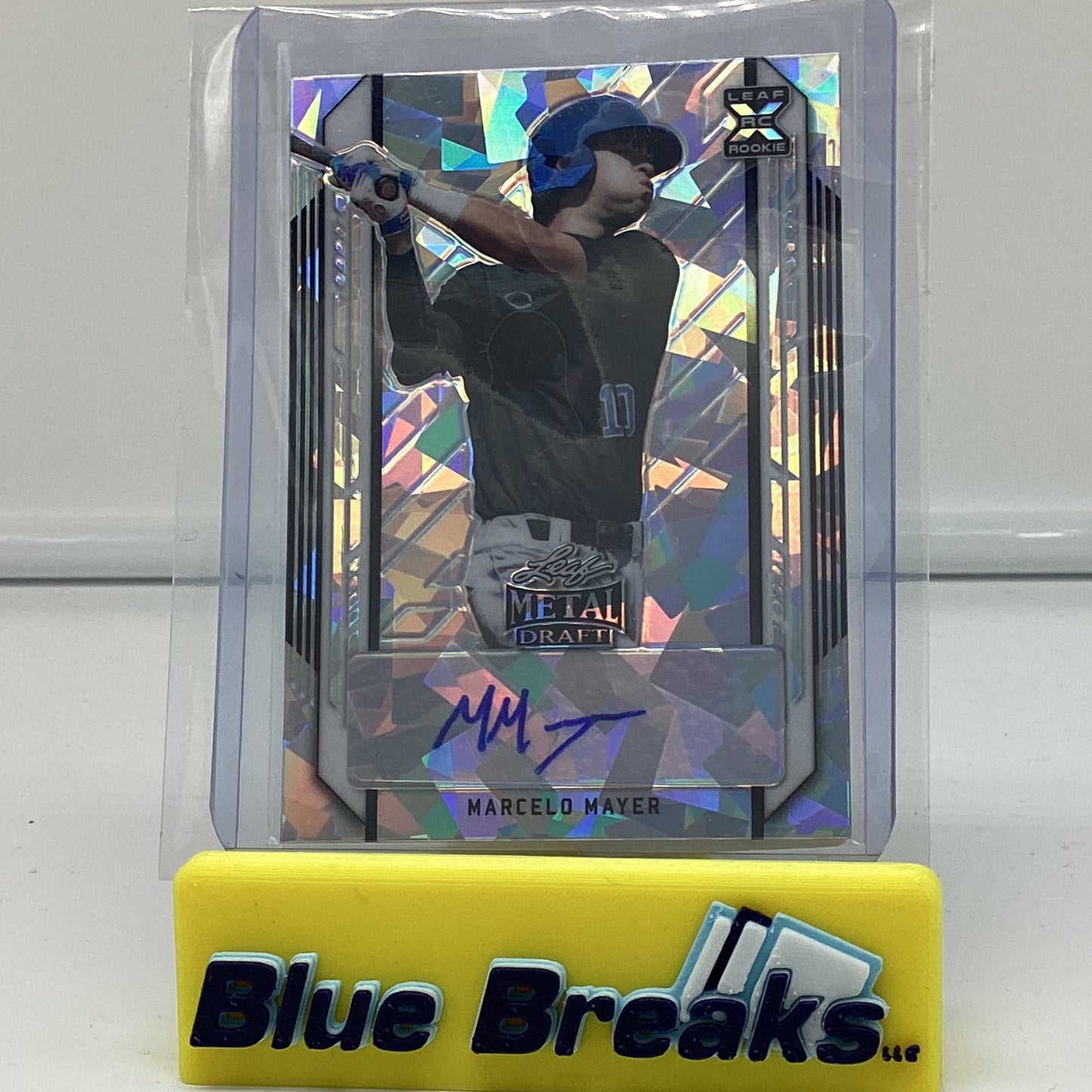 2021 Leaf Metal Draft - Marcelo Mayer auto