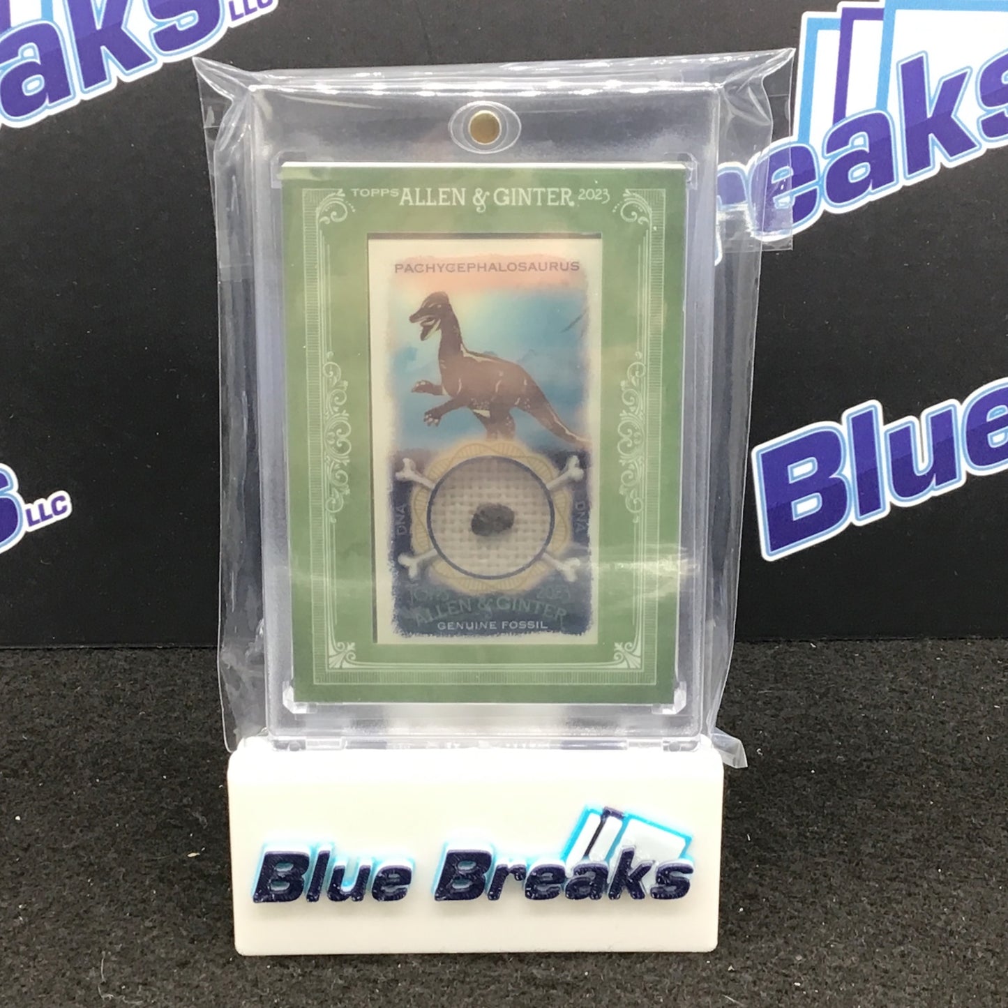 2023 - Topps - Allen & Ginter - Pachycephalosaurus - Relic - Genuine Fossil - 8/20