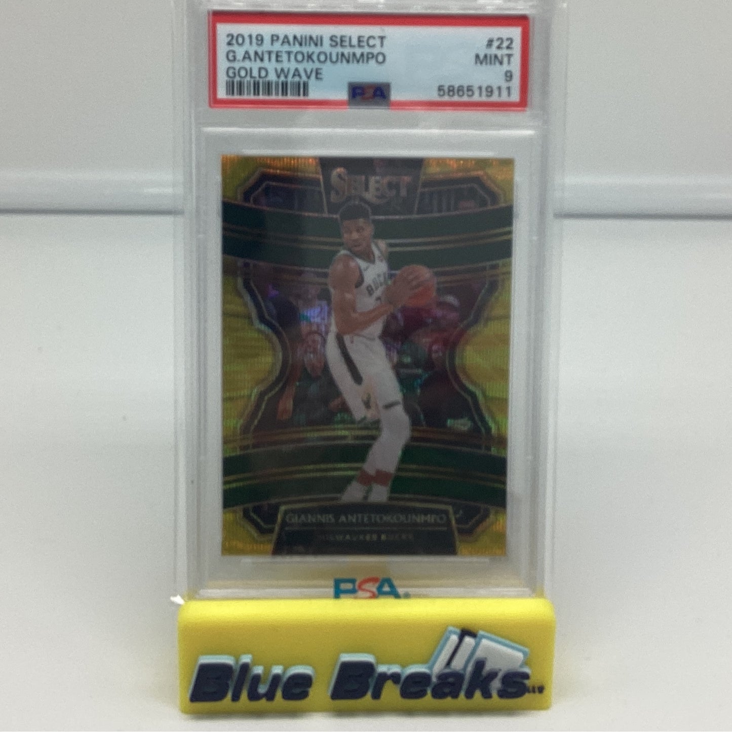 2019 Panini Select - Giannis Antetokounmpo