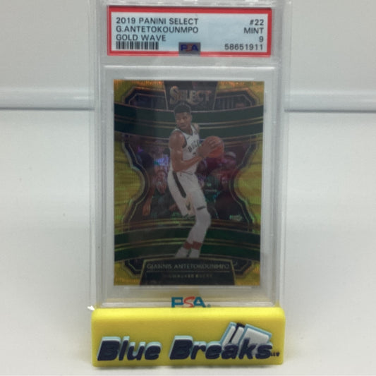 2019 Panini Select - Giannis Antetokounmpo