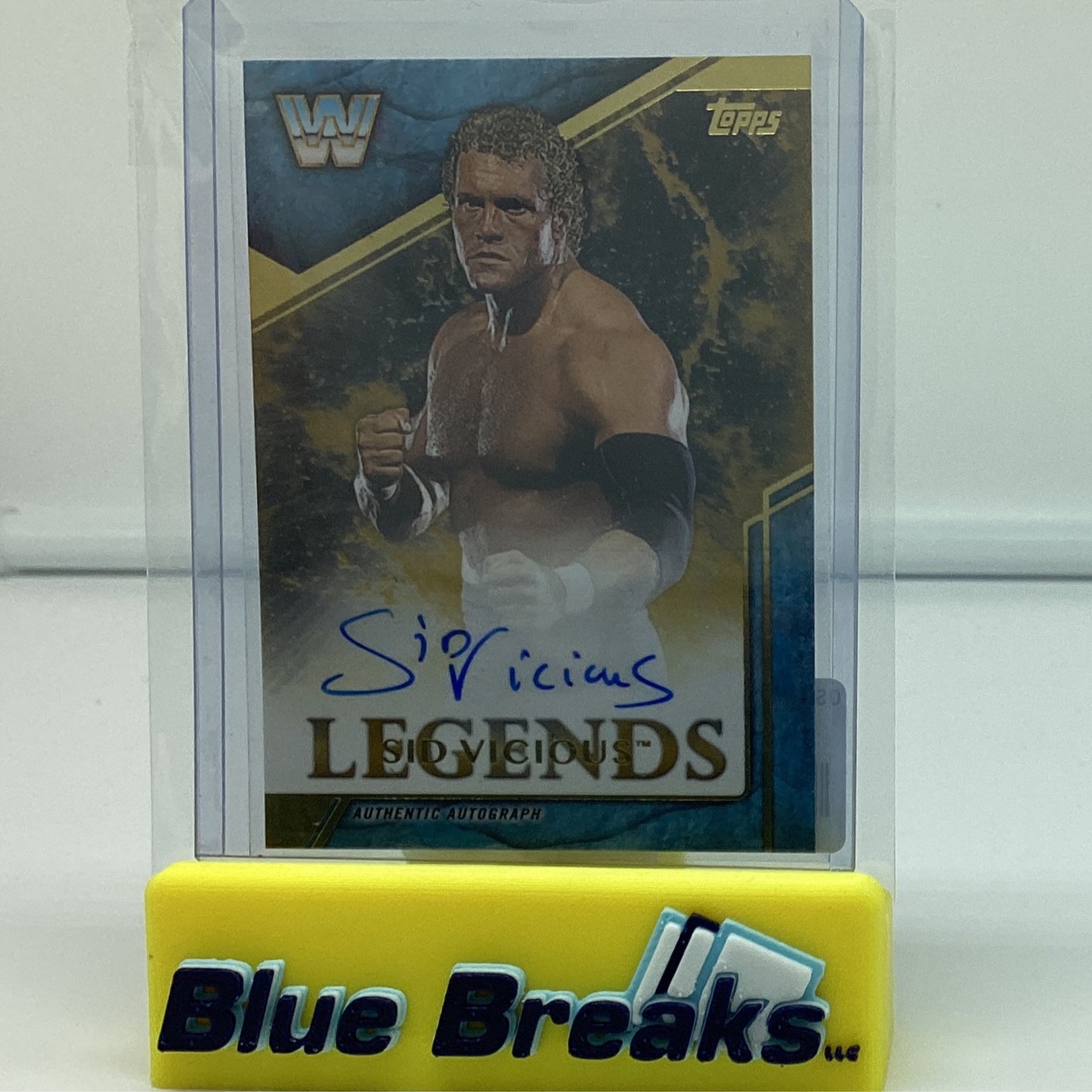 2017 Legends of WWE Sid Vicious