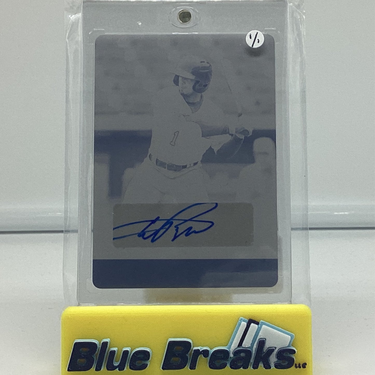 2021 Leaf Metal - Wander Franco 1/1