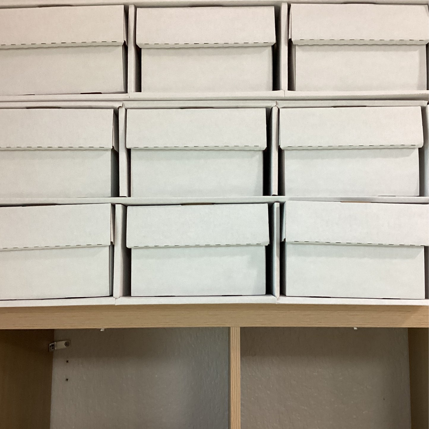 Shoe House Storage Box