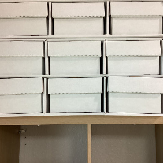 Shoe House Storage Box