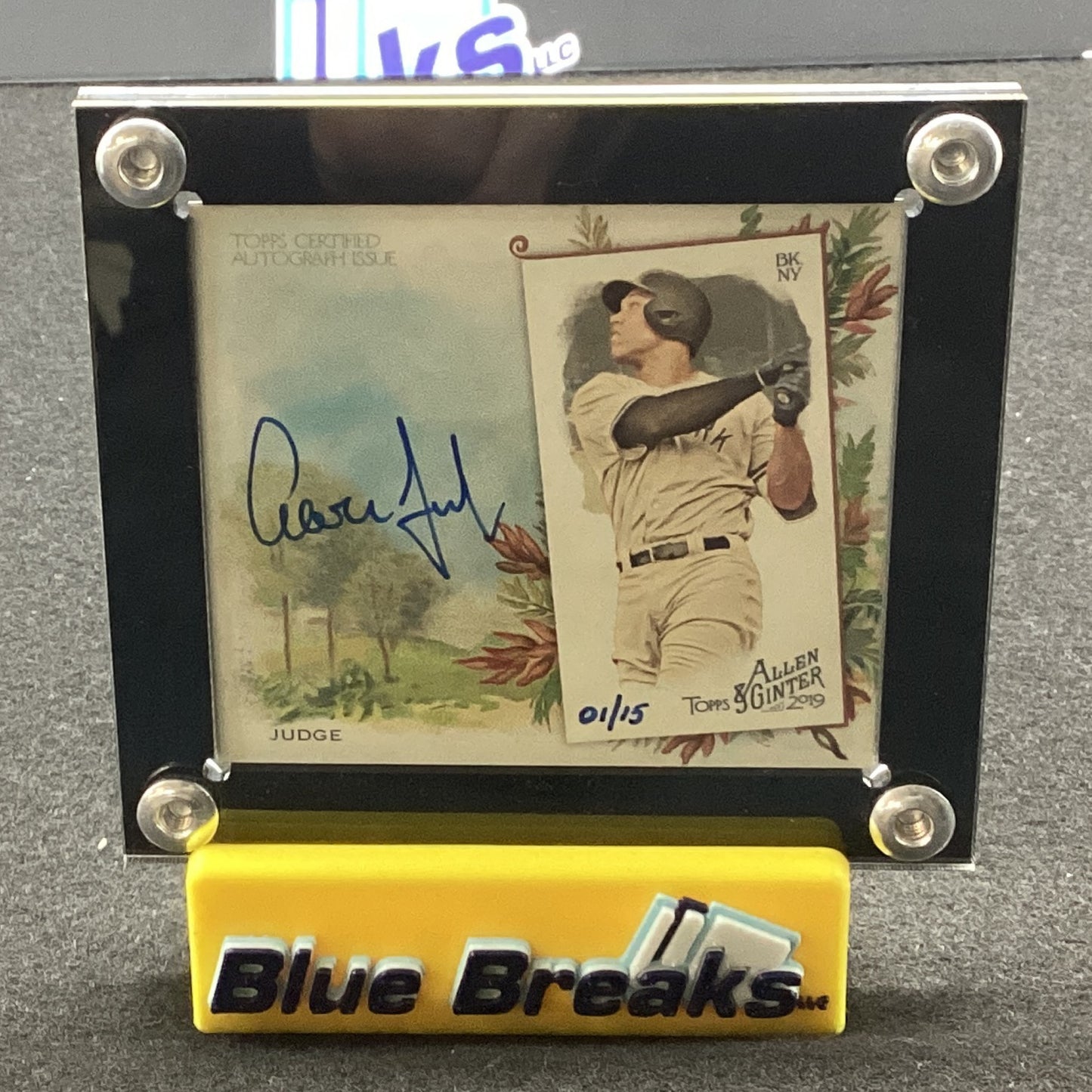 2019 Allen & Ginter Aaron Judge Box Topper 1/15