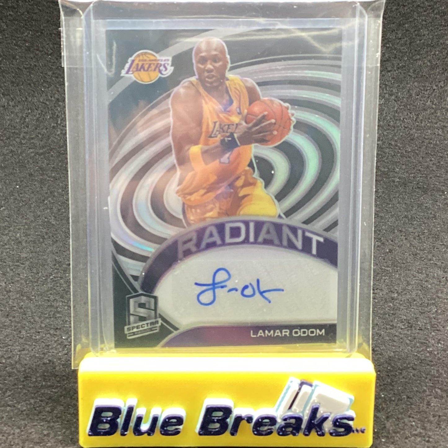 2010-21 Spectra - Lamar Odom 40/49